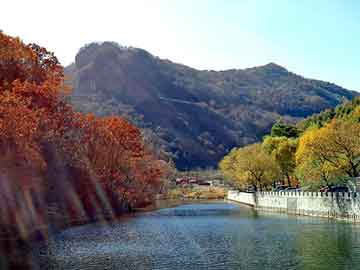 新澳天天开奖资料大全旅游团，木质素纤维